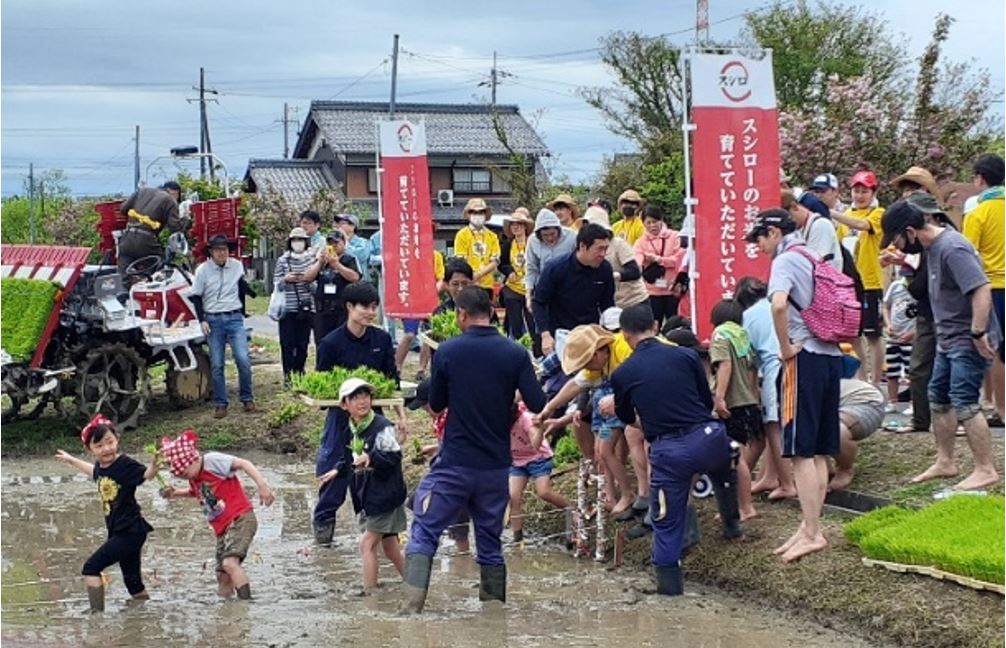 Through Agricultural Experiences, Participants Learn to Be Grateful to Producers and the Importance of Food. Rice Planting and Harvesting Experience Tour was Held in Rice Fields Where SUSHIRO Rice is Grown.