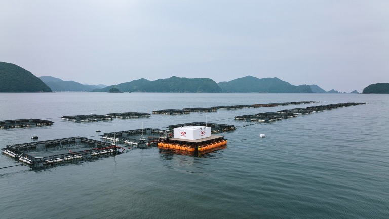 F&LC Joins Joint Demonstration Test of Remote Automated Feeding System Toward Sustainable Fisheries